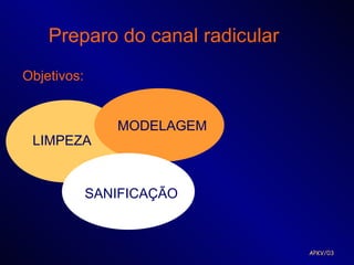 Preparo do canal radicular
Objetivos:


                MODELAGEM
 LIMPEZA


             SANIFICAÇÃO



                                 APKV/03
 