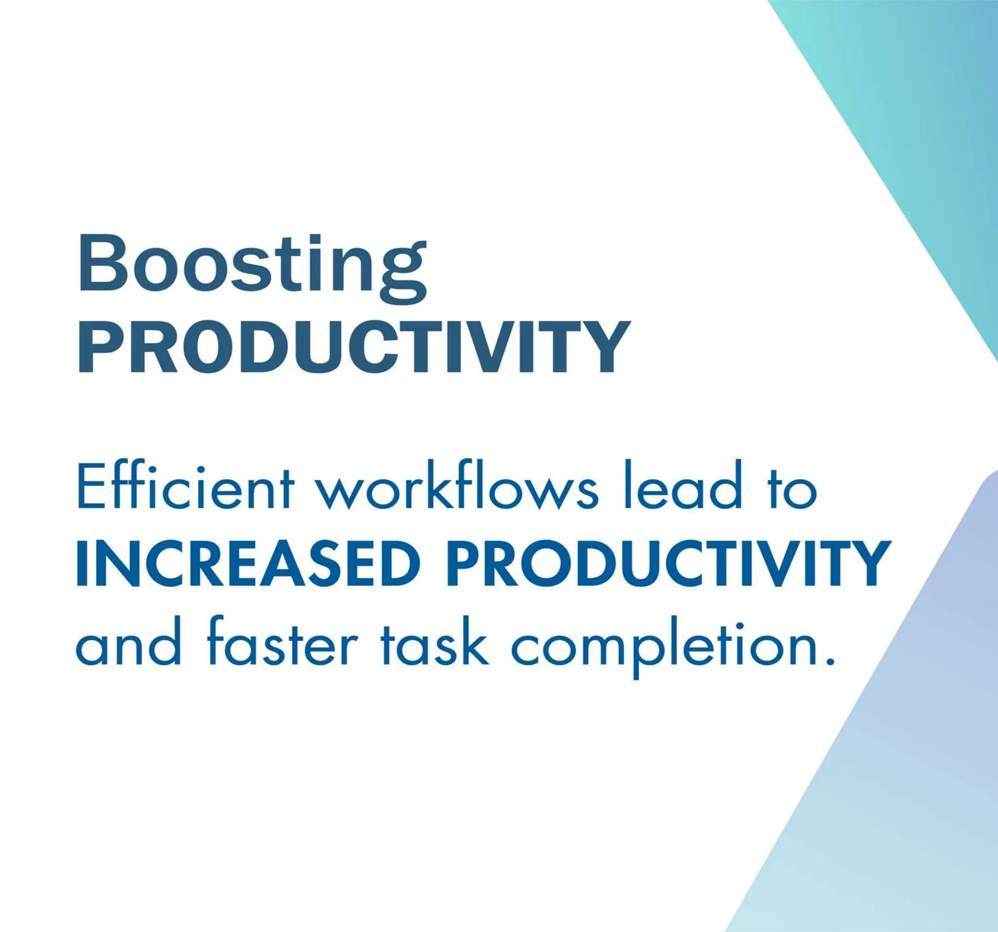 Robust Database Management System