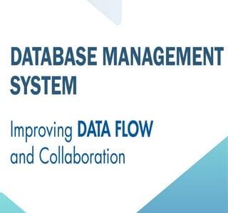 Robust Database Management System