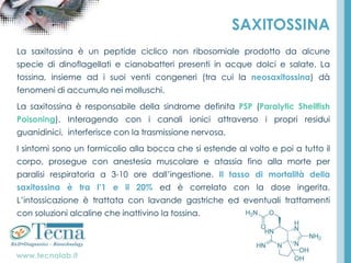 www.tecnalab.it
SAXITOSSINA
La saxitossina è un peptide ciclico non ribosomiale prodotto da alcune
specie di dinoflagellati e cianobatteri presenti in acque dolci e salate. La
tossina, insieme ad i suoi venti congeneri (tra cui la neosaxitossina) dà
fenomeni di accumulo nei molluschi.
La saxitossina è responsabile della sindrome definita PSP (Paralytic Shellfish
Poisoning). Interagendo con i canali ionici attraverso i propri residui
guanidinici, interferisce con la trasmissione nervosa.
I sintomi sono un formicolio alla bocca che si estende al volto e poi a tutto il
corpo, prosegue con anestesia muscolare e atassia fino alla morte per
paralisi respiratoria a 3-10 ore dall’ingestione. Il tasso di mortalità della
saxitossina è tra l’1 e il 20% ed è correlato con la dose ingerita.
L’intossicazione è trattata con lavande gastriche ed eventuali trattamenti
con soluzioni alcaline che inattivino la tossina.
 