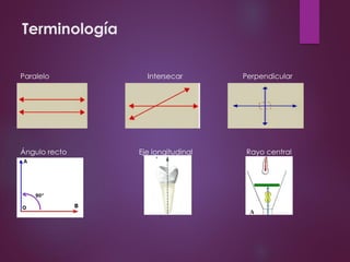 Terminología
Paralelo Intersecar Perpendicular
Ángulo recto Eje longitudinal Rayo central
 