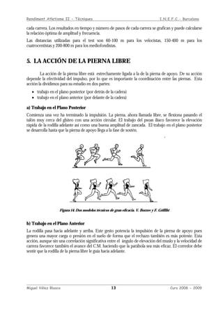 Rendiment Atletisme II - Tècniques I.N.E.F.C.- Barcelona
____________________________________________________________________________________________
Miguel Vélez Blasco 13 Curs 2008 - 2009
cada carrera. Los resultados en tiempo y número de pasos de cada carrera se grafican y puede calcularse
la relación óptima de amplitud y frecuencia.
Las distancias utilizadas para el test son 60-100 m para los velocistas, 150-400 m para los
cuatrocentistas y 200-800 m para los mediofondistas.
5. LA ACCIÓN DE LA PIERNA LIBRE
La acción de la pierna libre está estrechamente ligada a la de la pierna de apoyo. De su acción
depende la efectividad del impulso, por lo que es importante la coordinación entre las piernas. Esta
acción la dividimos para su estudio en dos partes:
• trabajo en el plano posterior (por detrás de la cadera)
• trabajo en el plano anterior (por delante de la cadera)
a) Trabajo en el Plano Posterior
Comienza una vez ha terminado la impulsión. La pierna, ahora llamada libre, se flexiona pasando el
talón muy cerca del glúteo con una acción circular. El trabajo del psoas ilíaco favorece la elevación
rápida de la rodilla adelante así como una buena amplitud de zancada. El trabajo en el plano posterior
se desarrolla hasta que la pierna de apoyo llega a la fase de sostén.
Figura 14. Dos modelos técnicos de gran eficacia. V. Borzov y F. Griffiht
b) Trabajo en el Plano Anterior
La rodilla pasa hacia adelante y arriba. Este gesto potencia la impulsión de la pierna de apoyo pues
genera una mayor carga o presión en el suelo de forma que el rechazo también es más potente. Esta
acción, aunque sin una correlación significativa entre el ángulo de elevación del muslo y la velocidad de
carrera favorece también el avance del C.M. haciendo que la parábola sea más eficaz. El corredor debe
sentir que la rodilla de la pierna libre le guía hacia adelante.
 