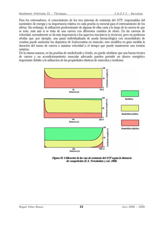 Rendiment Atletisme II - Tècniques I.N.E.F.C.- Barcelona
____________________________________________________________________________________________
Miguel Vélez Blasco 23 Curs 2008 - 2009
Para los entrenadores, el conocimiento de los tres sistemas de resíntesis del ATP, responsables del
suministro de energía y su importancia relativa en cada prueba es esencial para el entrenamiento de los
atletas. Sin embargo, la utilización predominante de algunas de ellas varía a lo largo de la carrera de que
se trate, más aún si se trata de una carrera con diferentes cambios de ritmo. En las carreras de
velocidad, normalmente se da más importancia a los aspectos mecánicos (y técnicos), pero no podemos
olvidar que, por ejemplo, una pauta individualizada de ayuda farmacológica con monohidrato de
creatina puede aumentar los depósitos de fosfocreatina en músculo; esto modifica en gran medida la
duración del tramo de carrera a máxima velocidad o el tiempo que puede mantenerse una tensión
máxima.
De la misma manera, en las pruebas de mediofondo y fondo, no puede olvidarse que una buena técnica
de carrera y un acondicionamiento muscular adecuado pueden permitir un ahorro energético
importante debido a la utilización de las propiedades elásticas de músculos y tendones.
Figura 22. Utilización de las vías de resíntesis del ATP según la distancia
de competición (E.A. Newsholme y col., 1994).
 