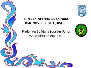 TECNICAS VETERINARIAS PARA
DIAGNOSTICO EN EQUINOS
NOSTICAS VETERINARIA
Profa. Mg Sc María Lourdes Parra
Especialista en equinos
AS VETERIANRIASTECNICAS EN
EQUINOS
 
