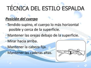 TÉCNICA DEL ESTILO ESPALDA
Posición del cuerpo
· Tendido supino, el cuerpo lo más horizontal
posible y cerca de la superficie.
· Mantener las orejas debajo de la superficie.
· Mirar hacia arriba.
· Mantener la cabeza fija.
· Mantener las caderas altas.
 
