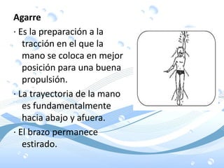 Agarre
· Es la preparación a la
tracción en el que la
mano se coloca en mejor
posición para una buena
propulsión.
· La trayectoria de la mano
es fundamentalmente
hacia abajo y afuera.
· El brazo permanece
estirado.
 