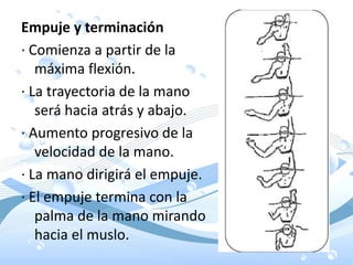 Empuje y terminación
· Comienza a partir de la
máxima flexión.
· La trayectoria de la mano
será hacia atrás y abajo.
· Aumento progresivo de la
velocidad de la mano.
· La mano dirigirá el empuje.
· El empuje termina con la
palma de la mano mirando
hacia el muslo.
 