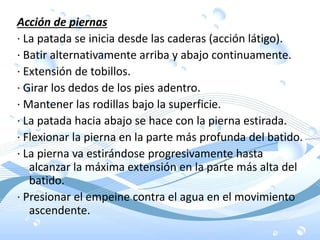 Acción de piernas
· La patada se inicia desde las caderas (acción látigo).
· Batir alternativamente arriba y abajo continuamente.
· Extensión de tobillos.
· Girar los dedos de los pies adentro.
· Mantener las rodillas bajo la superficie.
· La patada hacia abajo se hace con la pierna estirada.
· Flexionar la pierna en la parte más profunda del batido.
· La pierna va estirándose progresivamente hasta
alcanzar la máxima extensión en la parte más alta del
batido.
· Presionar el empeine contra el agua en el movimiento
ascendente.
 