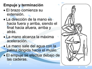 Empuje y terminación
El brazo comienza su
extensión.
La dirección de la mano es
hacia fuera y arriba, siendo el
final hacia afuera, arriba y
atrás.
La mano alcanza la máxima
aceleración.
La mano sale del agua con la
palma dirigida hacia el muslo.
El empuje se efectúa debajo de
las caderas.
 