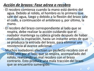 Acción de brazos: Fase aérea o recobro
· El recobro comienza cuando la mano está dentro del
agua. Debido al rolido, el hombro es lo primero que
sale del agua, luego y debido a la flexión del brazo sale
el codo, a continuación el antebrazo y, por último, la
mano.
· El recobro del brazo correspondiente al lado que se
respira, debe realizar la acción cuidando que el
nadador mantenga su cabeza girada después de haber
realizado la inspiración, hasta un instante antes de que
se produzca la entrada del brazo, para eliminar una
resistencia al avance adicional.
· Muchos nadadores efectúan un perfecto recobro con el
codo alto por el lado que se respira, acompañado del
rolido, realizando un mal recobro con el brazo
contrario. Esto produce una mala tracción del brazo
que se encuentra sumergido.
 