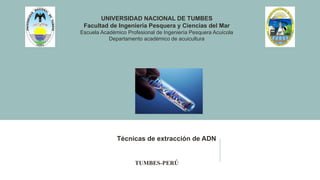 UNIVERSIDAD NACIONAL DE TUMBES
Facultad de Ingeniería Pesquera y Ciencias del Mar
Escuela Académico Profesional de Ingeniería Pesquera Acuícola
Departamento académico de acuicultura
Técnicas de extracción de ADN
TUMBES-PERÚ
 