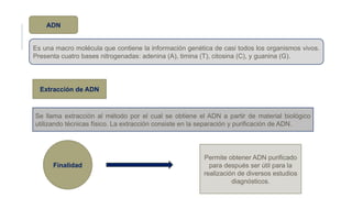 ADN
Es una macro molécula que contiene la información genética de casi todos los organismos vivos.
Presenta cuatro bases nitrogenadas: adenina (A), timina (T), citosina (C), y guanina (G).
Extracción de ADN
Se llama extracción al método por el cual se obtiene el ADN a partir de material biológico
utilizando técnicas físico. La extracción consiste en la separación y purificación de ADN.
Finalidad
Permite obtener ADN purificado
para después ser útil para la
realización de diversos estudios
diagnósticos.
 