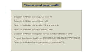 Técnicas de extracción de ADN
• Extracción de ADN en peces: E.Z.N.A. tissue Kit
• Extracción de ADN en peces: Método NaCl
• Extracción de ADN en invertebrados: E.Z.N.A. Mollusc kit
• Extracción de ADN en microalgas: Método Chelex
• Extracción de ADN en fanerógamas marinas: Método modificado de CTAB
• Protocolo de extracción de ADN con SPEEDTOOLS FOOD DNA EXTRACTION KIT
• Extracción de ADN por fenol-cloroformo-alcohol isoamílico (FCI)
 