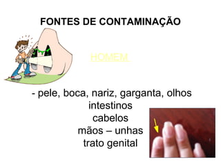 FONTES DE CONTAMINAÇÃO
HOMEM
- pele, boca, nariz, garganta, olhos

intestinos
cabelos
mãos – unhas
trato genital

 