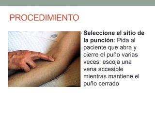 PROCEDIMIENTO
• Seleccione el sitio de
la punción: Pida al
paciente que abra y
cierre el puño varias
veces; escoja una
vena accesible
mientras mantiene el
puño cerrado
 