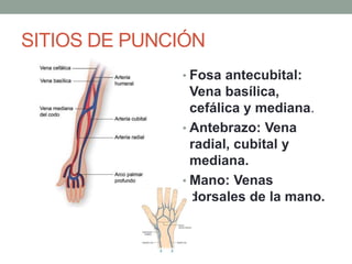 SITIOS DE PUNCIÓN
• Fosa antecubital:
Vena basílica,
cefálica y mediana.
• Antebrazo: Vena
radial, cubital y
mediana.
• Mano: Venas
dorsales de la mano.
 