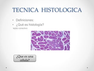 TECNICA HISTOLOGICA
• Definiciones:
• ¿Qué es histología?
tejido conectivo
¿Que es una
célula?
 