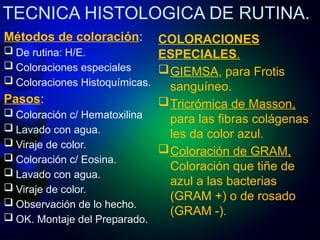 TECNICA HISTOLOGICA. INTRODUCCION, IMPORTANCIA, PROCEDIMIENTO. | PPTX
