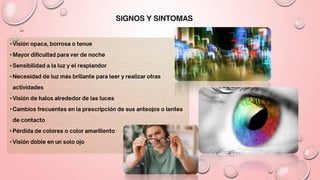 •
•
•
•
•
•
•
•
 