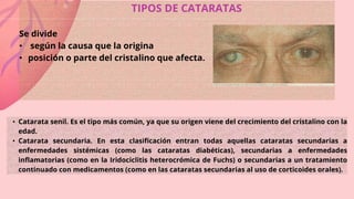 TIPOS DE CATARATAS
Se divide
• según la causa que la origina
• posición o parte del cristalino que afecta.
• Catarata senil. Es el tipo más común, ya que su origen viene del crecimiento del cristalino con la
edad.
• Catarata secundaria. En esta clasificación entran todas aquellas cataratas secundarias a
enfermedades sistémicas (como las cataratas diabéticas), secundarias a enfermedades
inflamatorias (como en la Iridociclitis heterocrómica de Fuchs) o secundarias a un tratamiento
continuado con medicamentos (como en las cataratas secundarias al uso de corticoides orales).
 