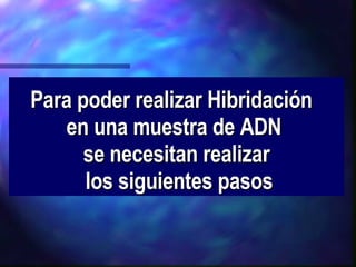 Para poder realizar Hibridación  en una muestra de ADN  se necesitan realizar  los siguientes pasos 