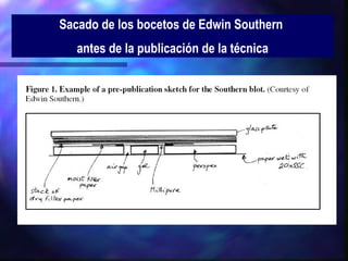 Sacado de los bocetos de Edwin Southern  antes de la publicación de la técnica 