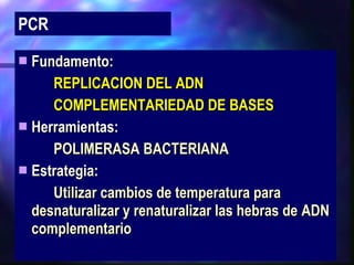 Fundamento:  REPLICACION DEL ADN COMPLEMENTARIEDAD DE BASES Herramientas: POLIMERASA BACTERIANA Estrategia: Utilizar cambios de temperatura para  desnaturalizar y renaturalizar las hebras de  ADN complementario PCR 