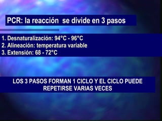 1. Desnaturalización: 94°C - 96°C 2. Alineación: temperatura variable 3. Extensión: 68 - 72°C PCR: la reacción  se divide en 3 pasos LOS 3 PASOS FORMAN 1 CICLO Y EL CICLO PUEDE REPETIRSE VARIAS VECES 