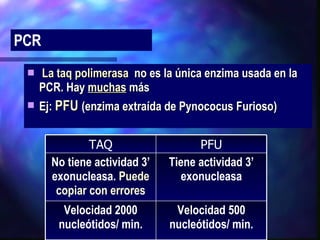 La taq polimerasa   no es la única enzima usada en la PCR. Hay  muchas  más Ej:  PFU  (enzima extraída de Pynococus Furioso) PCR Velocidad 500 nucleótidos/ min. Velocidad 2000 nucleótidos/ min. Tiene actividad 3’ exonucleasa No tiene actividad 3’ exonucleasa.  Puede copiar con errores PFU TAQ 