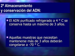 El ADN purificado refrigerado a 4 ° C se conserva hasta un máximo de 3 años.  Aquellas muestras que necesitan mantenerse más de 3 años deberán congelarse a -70 ° C.  2º Almacenamiento  y conservación del ADN: 