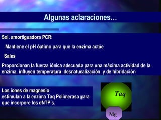 Los iones de magnesio estimulan a la enzima Taq Polimerasa para que incorpore los dNTP´s. Algunas aclaraciones… Sol. amortiguadora PCR:  􀁺  Mantiene el pH óptimo para que la enzima actúe 􀁺 Sales Proporcionan la fuerza iónica adecuada para una máxima actividad de la enzima, influyen temperatura  desnaturalización  y de hibridación Taq Mg 