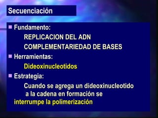 Fundamento:  REPLICACION DEL ADN COMPLEMENTARIEDAD DE BASES Herramientas: Dideoxinucleotidos  Estrategia: Cuando se agrega un dideoxinucleotido   a la cadena en formación se  interrumpe la polimerización Secuenciación 
