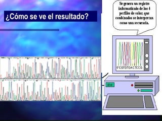 ¿Cómo se ve el resultado? 