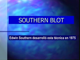 SOUTHERN BLOT Edwin Southern desarrolló esta técnica en 1975 