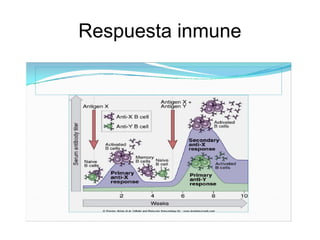 Respuesta inmune
 