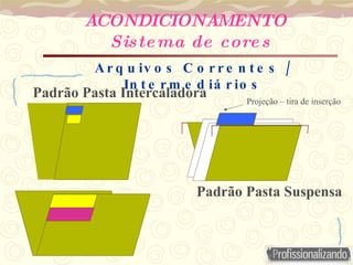 ACONDICIONAMENTO
Sistema de cores
Padrão Pasta Intercaladora
Padrão Pasta Suspensa
/
A r q u iv o s C o r r e n t e s
In t e r m e d iá r io s
Projeção – tira de inserção
 