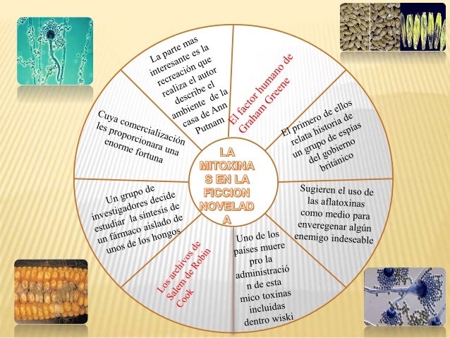 Mapas conceptuales Mandala y Uve Heuristica