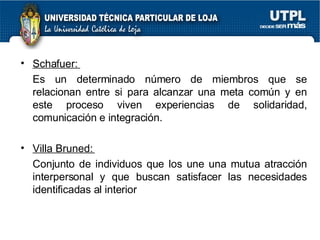 Schafuer:  Es un determinado número de miembros que se relacionan entre si para alcanzar una meta común y en este proceso viven experiencias de solidaridad, comunicación e integración. Villa Bruned:  Conjunto de individuos que los une una mutua atracción interpersonal y que buscan satisfacer las necesidades identificadas al interior  
