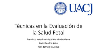 Técnicas en la Evaluación de
la Salud Fetal
Francisco Netzahualcóyotl Hernández Garza
Javier Muñoz Salas
Raúl Bernardo Alonso
 