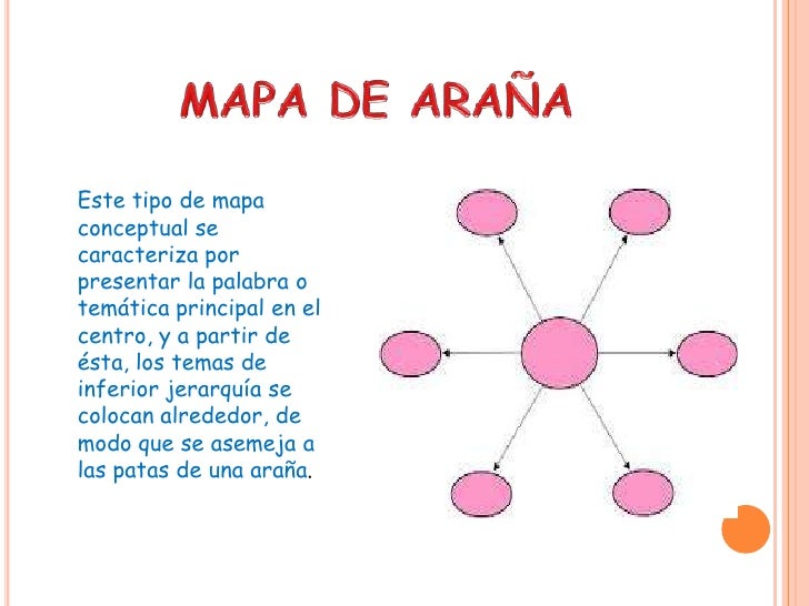 33+ Mapa Conceptual Araña Pics Maesta