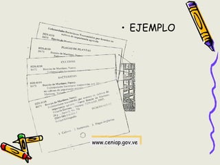 • EJEMPLO
www.ceniap.gov.vewww.ceniap.gov.ve
 
