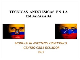 TECNICAS ANESTESICAS EN LA
       EMBARAZADA




  MODULO III ANESTESIA OBSTETRICA
      CENTRO CEEA-ECUADOR
                2012
 