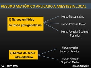 RESUMO ANATÔMICO APLICADO A ANESTESIA LOCAL
Nervo Nasopalatino
Nervo Palatino Maior
Nervo Alveolar Superior
Posterior
Nervo Alveolar
Superior Anterior
Nervo Alveolar
Superior Médio
1) Nervos emitidos
da fossa pterigopalatina
2) Ramos do nervo
infra-orbitário
(MALLAMED;2005) (MALLAMED;2005)
 