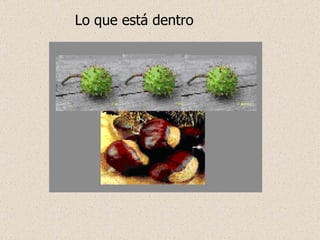 Lo que está dentro 