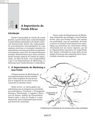 lição

         6      A Importância da
                Venda Eficaz
Introdução
                                                         Como cuidar do Departamento de Marke-
    Dando continuidade ao estudo da venda            ting, comparado, por analogia, a uma frondosa
pessoal, a partir desta lição, nossa abordagem       árvore, para que forneça frutos, não apenas
é especialmente destinada à atividade comer-         em quantidade, mas em qualidade, de modo
cial desenvolvida dentro das organizações.           a cativar os clientes? Como desenvolver estra-
Os procedimentos mercadológicos de uma               tégias que permitam um crescimento sólido,
empresa envolvem a circulação constante de           estruturado por um tronco vigoroso, que dê
mercadorias e serviços para dentro (suprimen-        ao Departamento garantias de longevidade
tos/compras) e para fora do empreendimento           sem limites, colocando na copa desta árvore
(vendas). Estreitaremos aqui nosso caminho,          sempre frutos que não cessem de trazer lucra-
dando atenção especial às vendas da organi-          tividade crescente aos negócios?
zação. Ao final da lição, você compreenderá
o que é um Departamento de Marketing, e a
diferença entre venda eficiente e venda eficaz.

1.	 O Departamento de Marketing e
    seus Frutos
    O Departamento de Marketing de
uma empresa possui muitas ramifica-
ções. Como os galhos de uma árvore,
que se originam de um único tronco
e possuem as mesmas raízes.

    Nesta árvore, os vários galhos são
subsistemas que se integram nas atividades
mercadológicas: Promoção e Propaganda,
Pesquisa, Distribuição e Logística, Estru-
tura de Preços, Análise da Concorrência.
Dentre todos, a área de Vendas é a mais
importante, pois é responsável pela receita
que deverá ser otimizada.


                                        O Departamento de Marketing de uma empresa possui muitas ramificações.




                                             008G/37
 