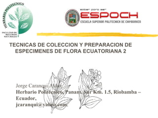 TECNICAS DE COLECCION Y PREPARACION DE
ESPECIMENES DE FLORA ECUATORIANA 2

Jorge Caranqui Aldaz
Herbario Politécnico, Panam. Sur Km. 1.5, Riobamba –
Ecuador,
jcaranqui@yahoo.com.

 