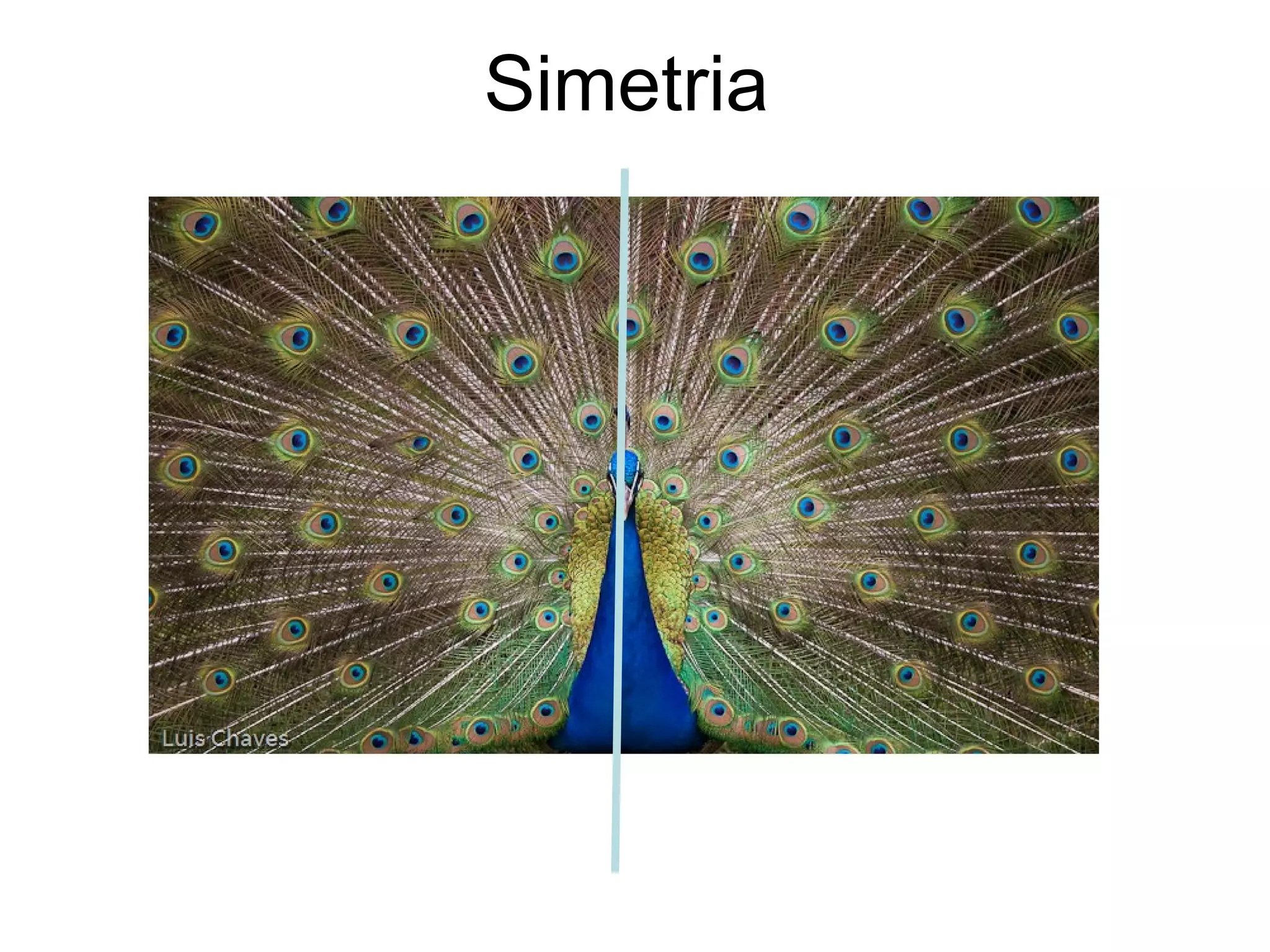 Simetria