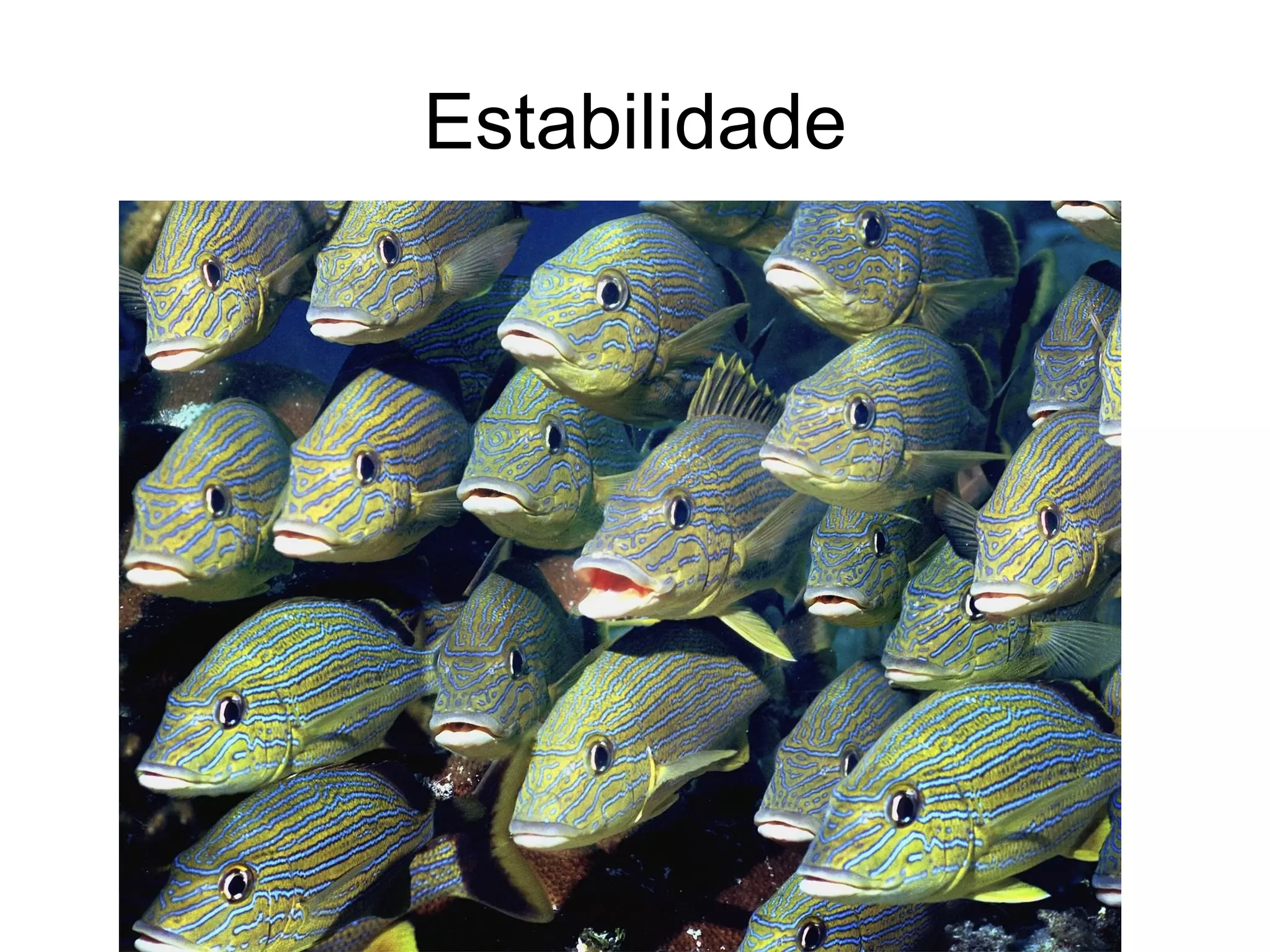 Estabilidade