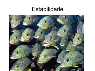 Estabilidade
 
