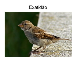 Exatidão
 